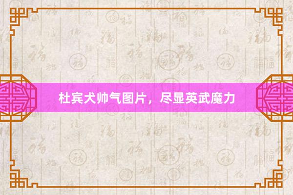 杜宾犬帅气图片，尽显英武魔力